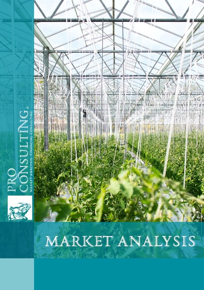 Market research report on greenhouse business in Ukraine. 2024 year